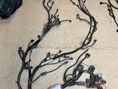 Cableado de instalación del motor