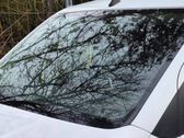 Front windscreen/windshield window