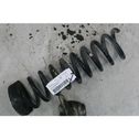 Rear coil spring