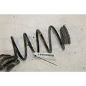 Rear coil spring