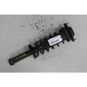 Rear shock absorber with coil spring