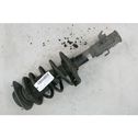 Front shock absorber/damper