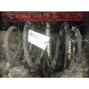 Rear coil spring