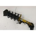 Front shock absorber/damper