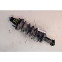 Rear shock absorber with coil spring