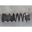 Rear coil spring