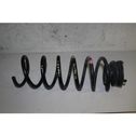 Rear coil spring