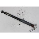 Rear shock absorber with coil spring