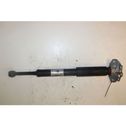 Rear shock absorber with coil spring