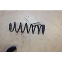 Rear coil spring