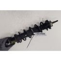 Rear shock absorber with coil spring