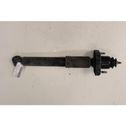 Rear shock absorber with coil spring