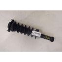 Rear shock absorber with coil spring