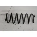 Rear coil spring