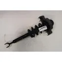 Front shock absorber/damper