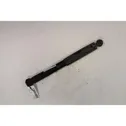 Rear shock absorber with coil spring