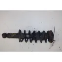 Rear shock absorber with coil spring