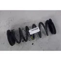 Rear coil spring