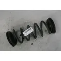 Rear coil spring