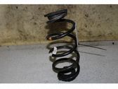 Muelle espiral trasero