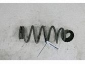 Muelle espiral trasero