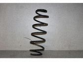 Muelle espiral trasero