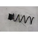 Rear coil spring