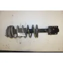 Front shock absorber/damper