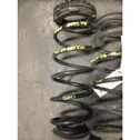 Rear coil spring