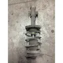 Front shock absorber/damper