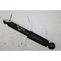 Rear shock absorber with coil spring