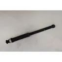 Rear shock absorber with coil spring