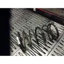 Rear coil spring