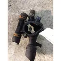 Thermostat/thermostat housing