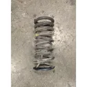 Rear coil spring