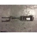 Front shock absorber/damper