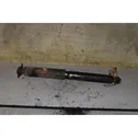 Rear shock absorber with coil spring