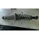 Rear shock absorber with coil spring