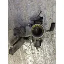 Throttle body valve