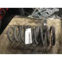 Rear coil spring