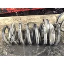 Rear coil spring