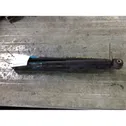 Rear shock absorber with coil spring