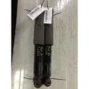 Rear shock absorber with coil spring