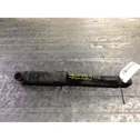 Rear shock absorber with coil spring