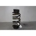 Rear coil spring