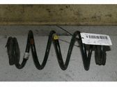 Muelle espiral trasero