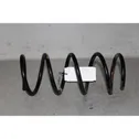 Rear coil spring