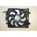 Electric radiator cooling fan