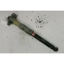 Rear shock absorber with coil spring