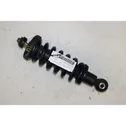 Rear shock absorber with coil spring